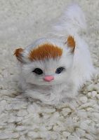 Кот из меха 3 во Галиче